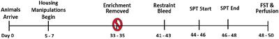 Loss of Environmental Enrichment Elicits Behavioral and Physiological Dysregulation in Female Rats